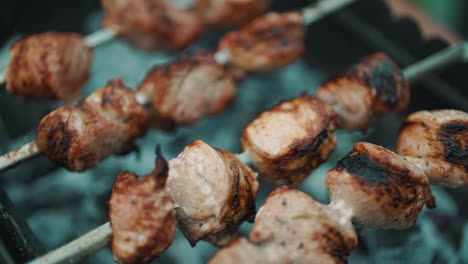 tasty pork shashlik on the grill.