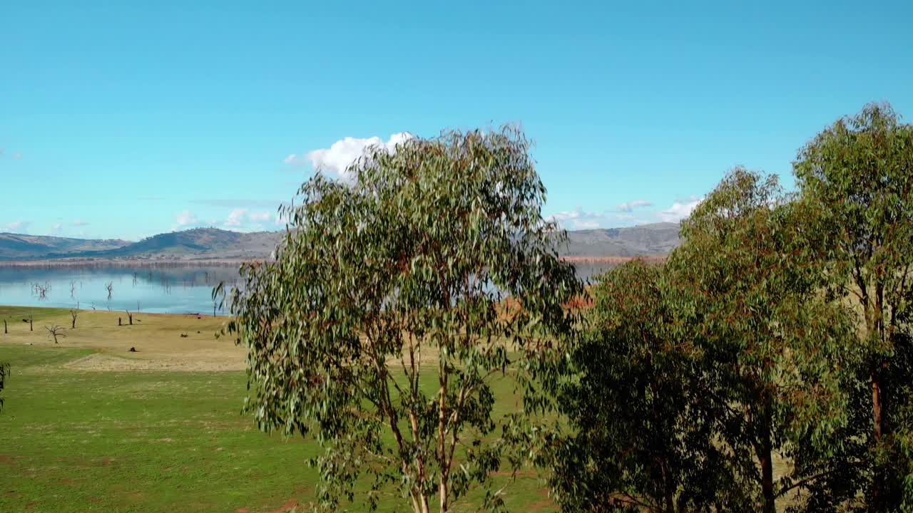 Vista aerea davanti agli alberi, che rivela il Lago Hume, giornata di sole, nel Victoria, Australia - ripresa in ascesa, drone.