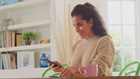 Celebrando-A-Una-Mujer-Con-Tarjeta-De-Crédito-En-Casa-Usando-Un-Teléfono-Móvil-Para-Realizar-La-Compra-De-Sus-Sueños