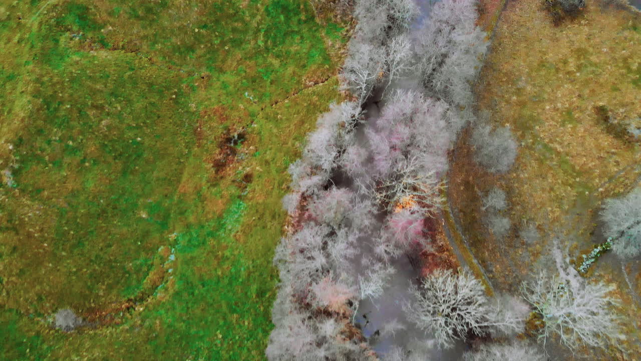 하얀 나무와 푸른 들판 사이를 흐르는 작은 강의 아름다운 항공 영상