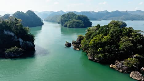 Birds-flying-over-lagoon-of-Los-Haitises-National-Park,-Dominican-Republic