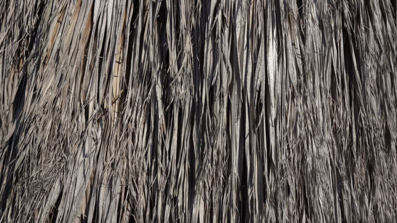 textura de las hojas secas en tonos de gris