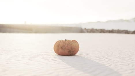 Calabaza-De-Halloween-En-Las-Dunas-De-La-Playa