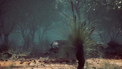 serene landscape with grass and trees under misty light at dawn