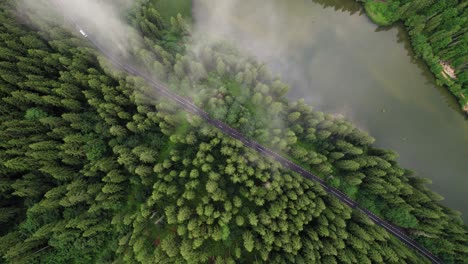 Antena-Alta-De-Arriba-Hacia-Abajo-De-Una-Carretera-Junto-Al-Bosque-Y-Un-Lago,-Con-Un-Coche-Blanco-Conduciendo