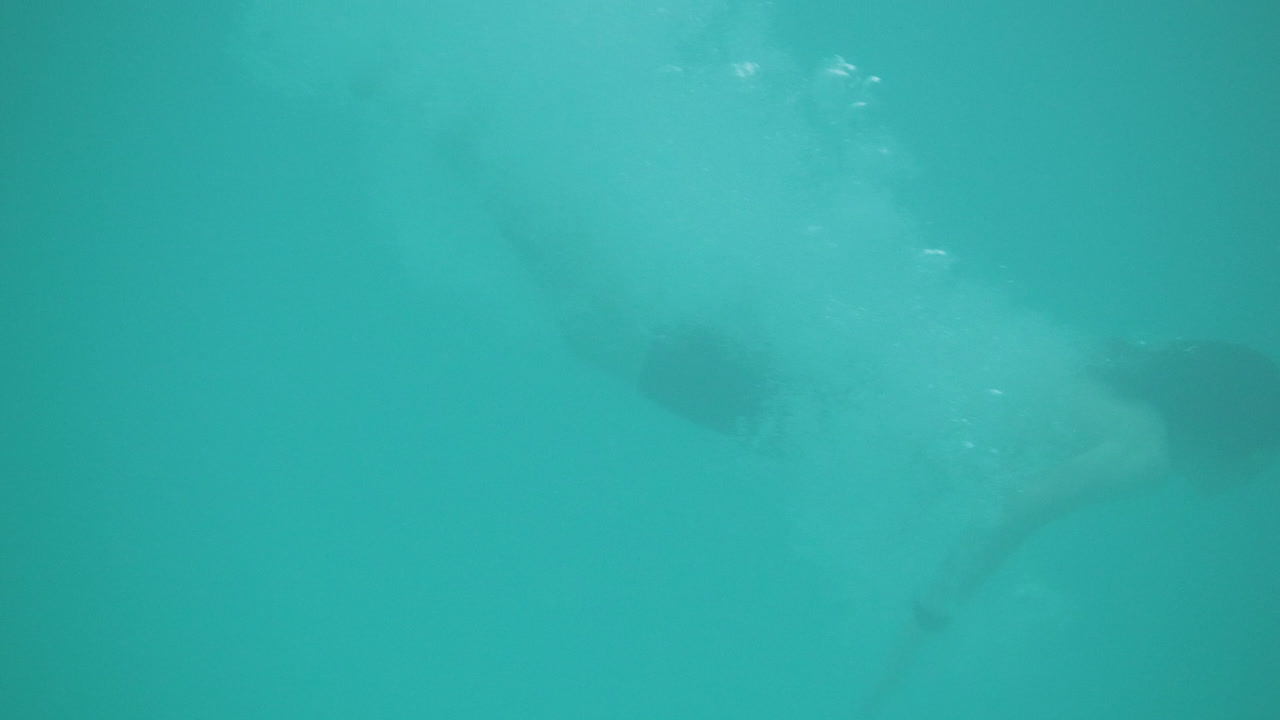 niño salta a la piscina y se sumerge en azul