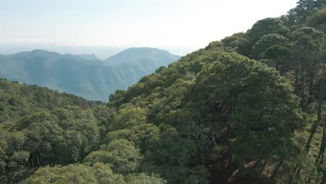 Luftaufnahme-Des-Wilden-Waldes-In-Der-Bergkette,-Schöne-Berglandschaft,-Aufbau-Der-überführung