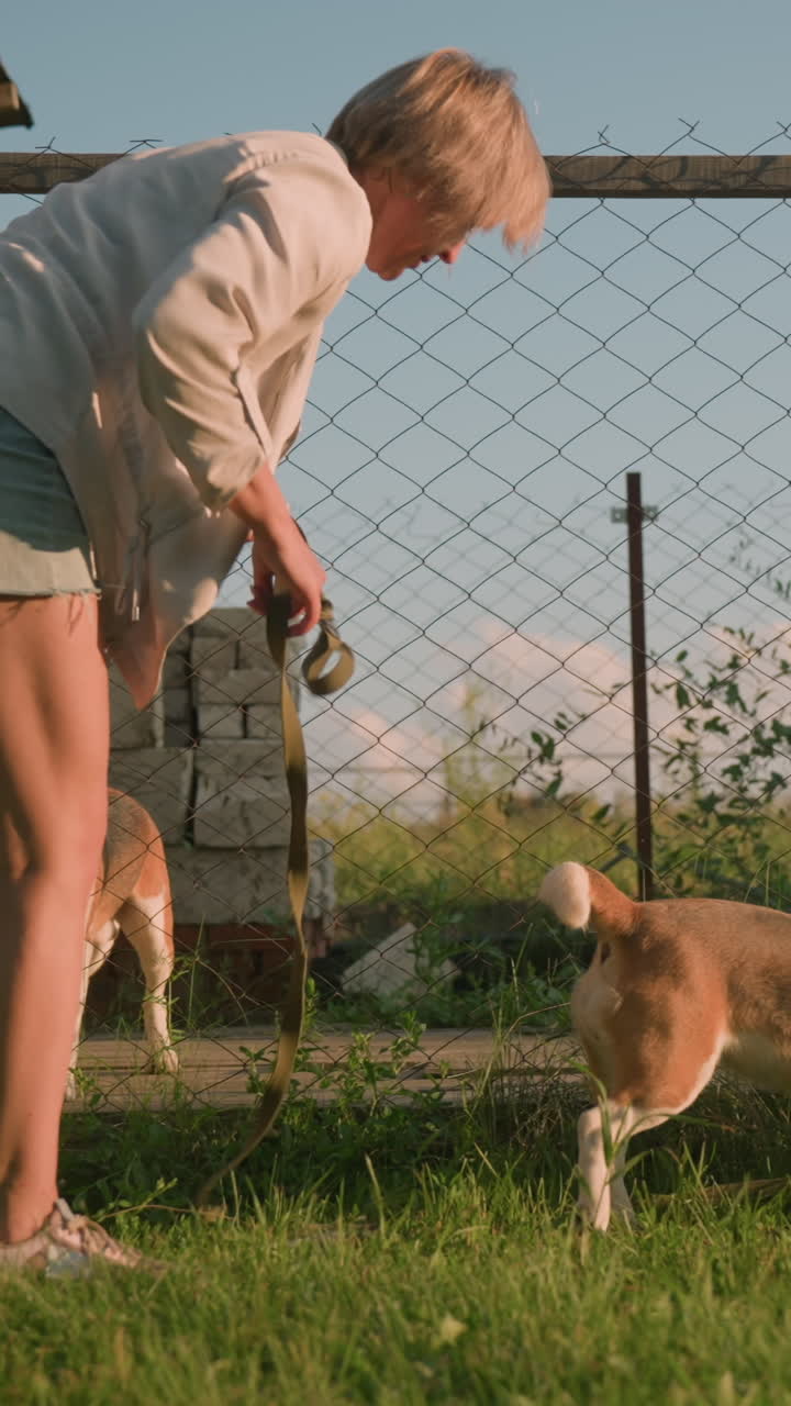 잔디에서 호기심 많은 개를 따라가는 여자, 손에 줄을 들고, 다른 개가 체인 링크 울타리를 통해 보면서, 시골 분위기, 초록색 식물, 밝은 빛, 장난스러운 야외 설정