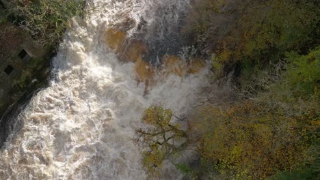 A-drone-flying-directly-above-a-ranging-waterfall-tilts-slowly-down-to-reveal-autumn-coloured-trees-as-light-catches-the-foam-from-turbulent-river