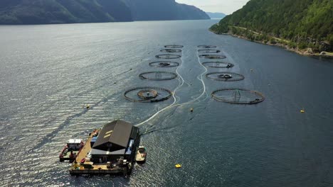 imágenes aéreas de granjas de pesca de salmón en noruega