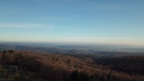 aerial view of a forest landscape in winter