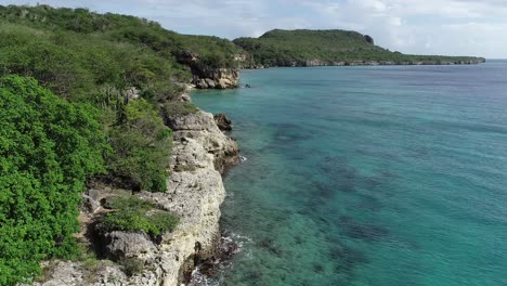 Drone-flying-over-coast-line-with-cacti-and-plants-with-clear-ocean-water