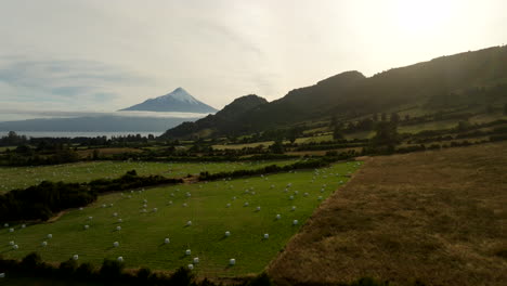 aerial orbital sunset view, osorno volcano, farming harvest, hay bales