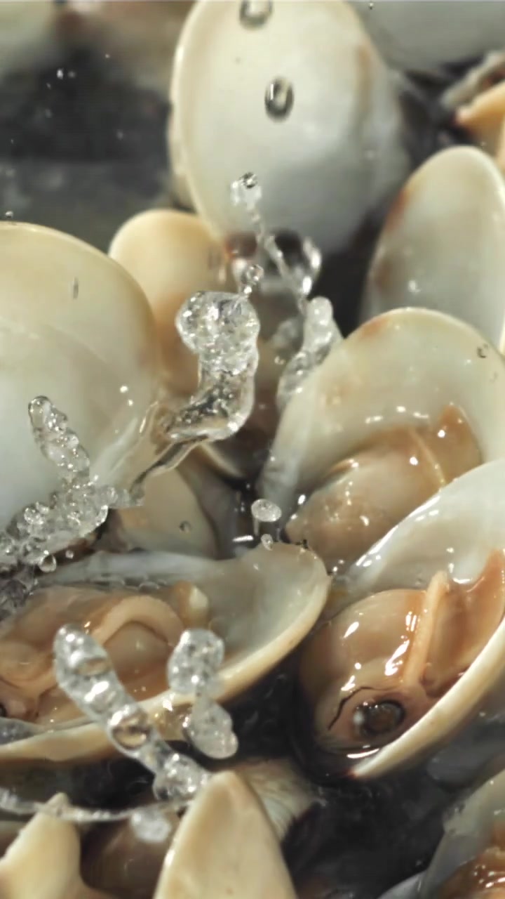 Water Splashing on Fresh Clams in Slow Motion