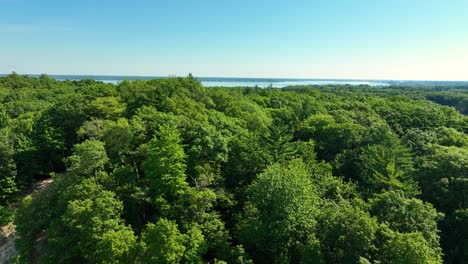 Schwenken-Sie-Von-Der-Küste-Der-Sanddünen-Landeinwärts