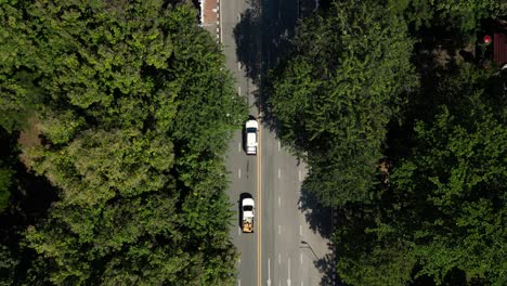 top down drone shot following cars driving on road with greenery on sides