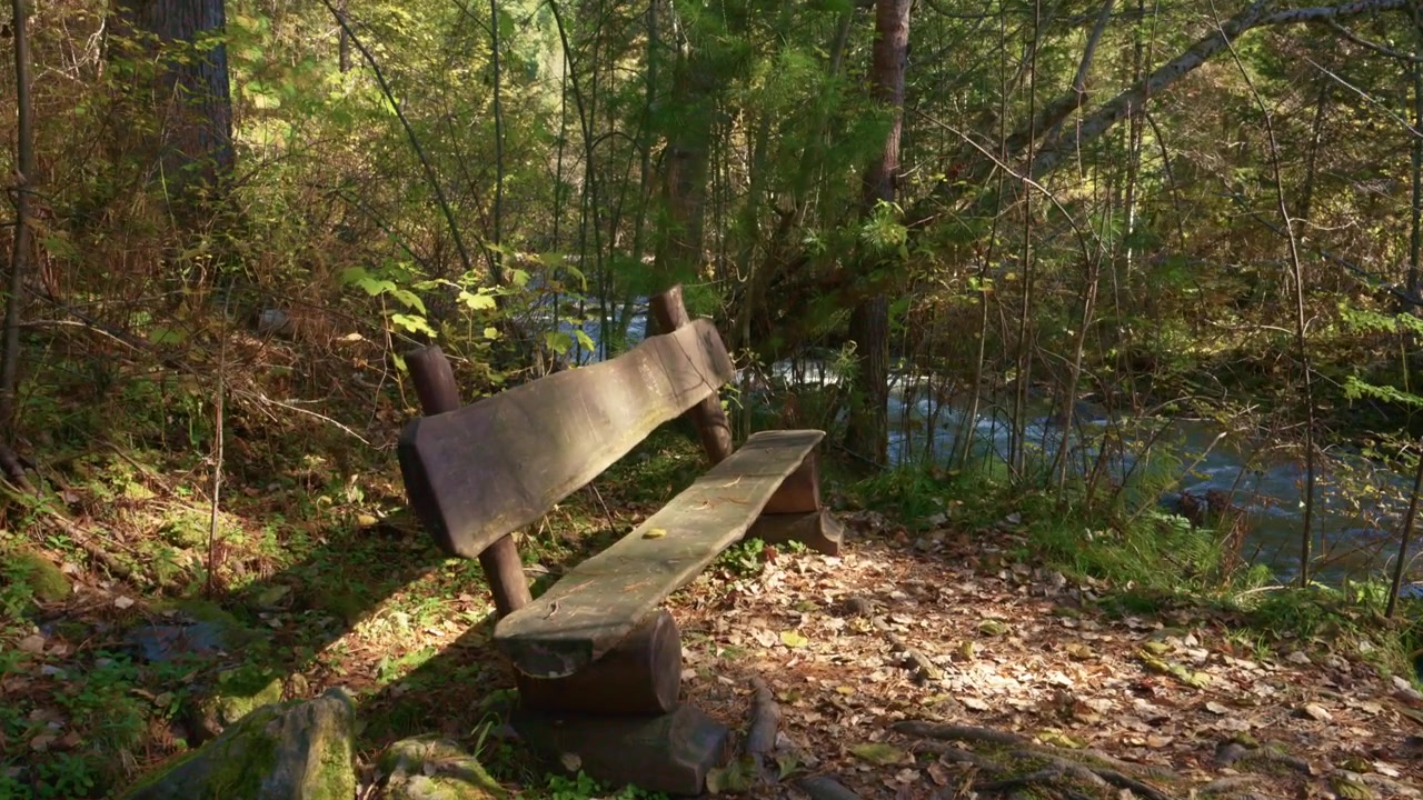 Banco de madera junto a un arroyo en un bosque tranquilo