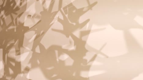 abstract shadows on a light beige wall
