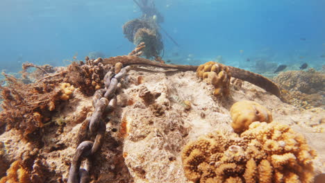 Cinematic-shot-of-a-chain-laying-on-the-sandy-ocean-floor-next-to-coral-reefs-in-very-clear-waters-with-fish-swimming-by-on-a-bright-and-sunny-day,-4K,-Slomo