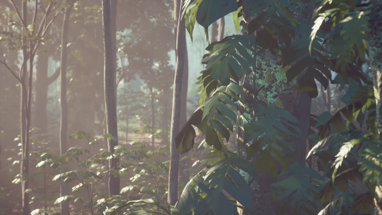 una selva exuberante y verde con árboles altos y follaje denso