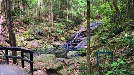 serena y pacífica cascada goteante y piscina de rocas y paseo marítimo en el arroyo de picnic en una densa selva tropical, con antiguas rocas cubiertas de musgo que dan una atmósfera jurásica