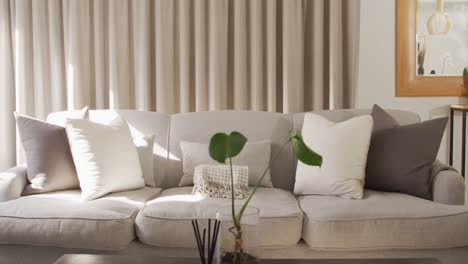 general view of luxury living room with sofa and table