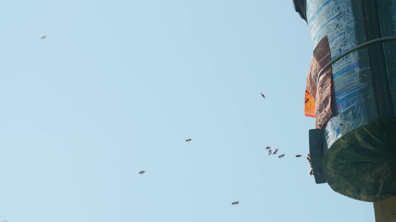 새 집 을 찾고 있는 벌 들 의 집단 을 끌어들이는 무리 상자