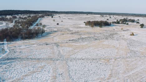 aerial drone view of snowy veluwe national park netherlands, backwards