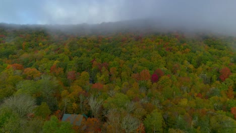 Fog-and-overcast-clouds-blanket-vibrant-fall-leaves-in-the-Forest-mountains