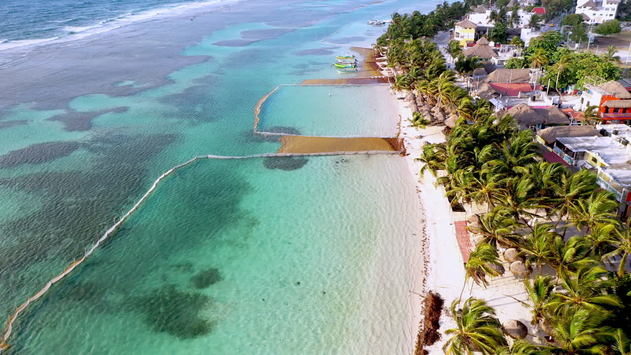 Rivelatrice ripresa con drone di alghe Sargasso e dello sforzo per tenere le alghe lontane dalla spiaggia a Mahahual, Messico