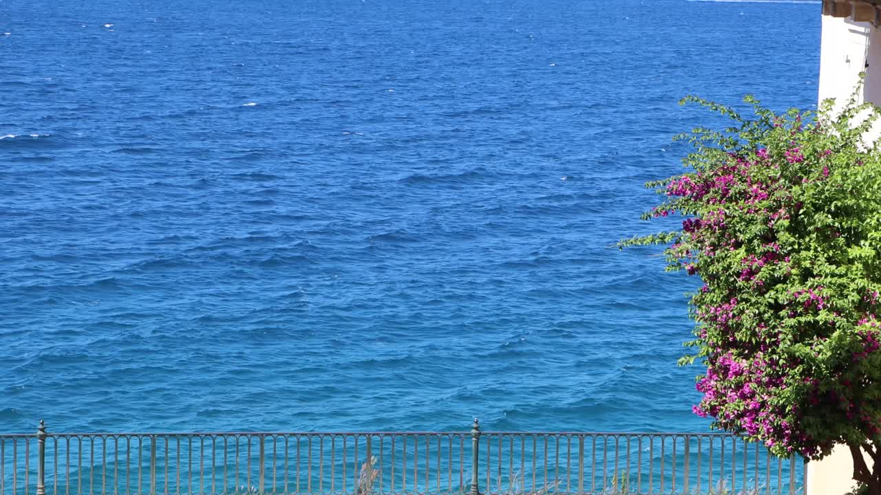 This blue sky, flowers are amazing The waves of the sea are those that reflect a blue ocean that signify free time, summer love and peace