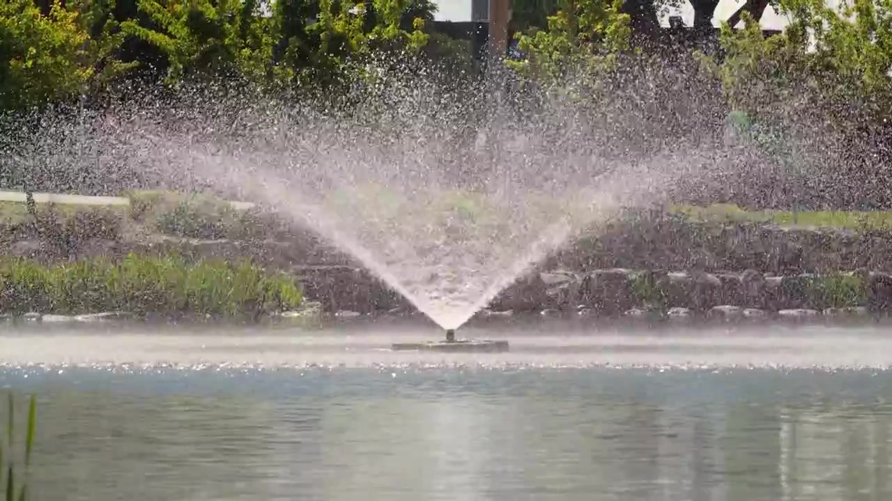 Video 4K al rallentatore cattura una fontana che spruzza acqua in un lussureggiante parco cittadino verde. Ondulazioni cinematografiche sulla superficie dello stagno con canne e alberi sullo sfondo sotto un cielo estivo soleggiato.