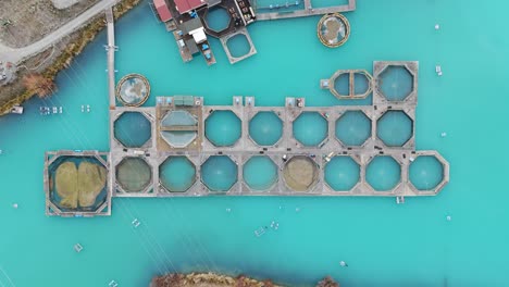 top-down drone shot slowly ascending over the circular salmon pens at high country salmon in twizel, showing the structured layout against turquoise water