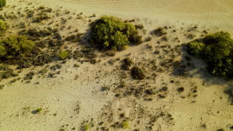 Vista-Aérea-De-Arriba-Hacia-Abajo-Desde-La-Gran-Altitud-De-La-Costa-De-La-Playa-De-Arena-Del-Río-Piedras