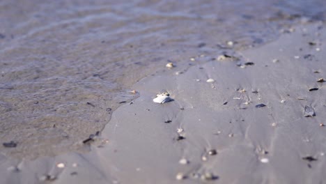 オーストラリアのビーチに流れる潮