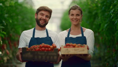 positive farmers show vegetables tomatoes crate at local market plantation house