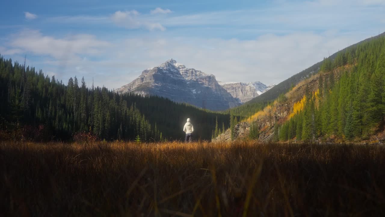 Donna che ammira la bellezza della natura con una foresta sempreverde e un'alta montagna
