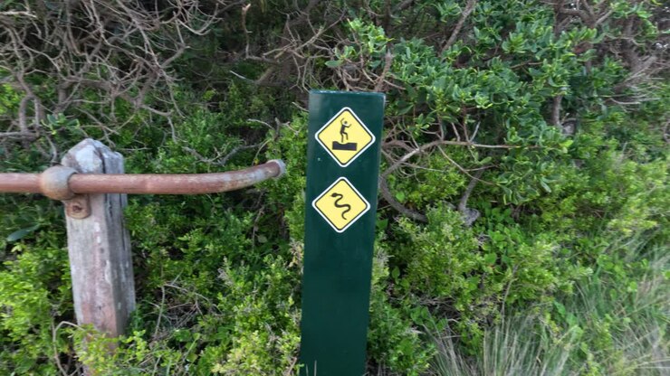 Caution signs on a path near cliffs