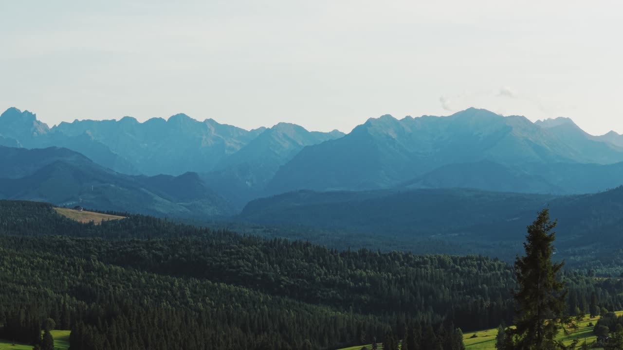 Tangkapan Udara Hari Cerah Hutan Belantara Taman Nasional Tatra