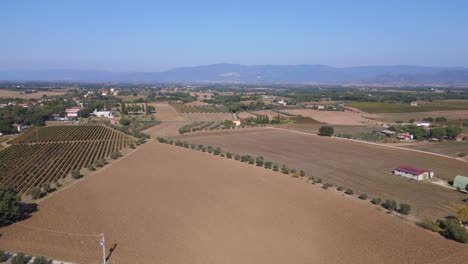 Suave-Vista-Aérea-Superior-Vuelo-Toscana-Zona-Vitivinícola-Mediterráneo-Italia-Otoño-23