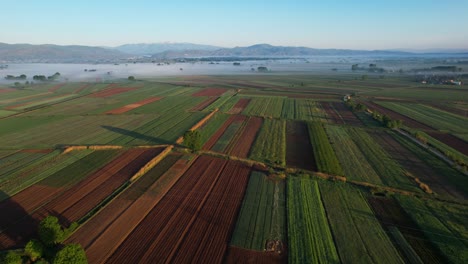 Geometrische-Muster-Bepflanzter-Parzellen-Schmücken-Das-Schöne-Feld,-Frühlingsmorgen,-Drohnen-Luftaufnahme