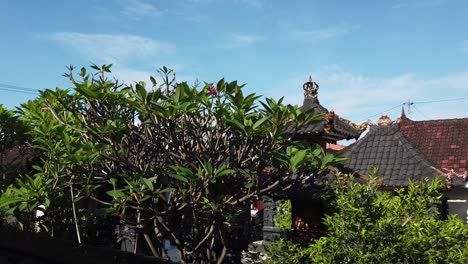Balinese-Traditional-Garden-Village,-Trees-and-Houses-Over-Blue-Sky-Background