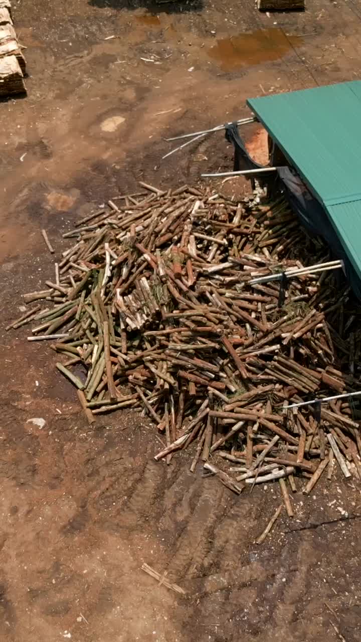 Pile of Wood under Green Roof