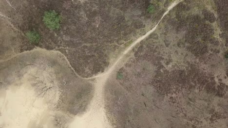 Aerial-top-down-view-of-the-dry-sand-dune-in-the-Netherlands