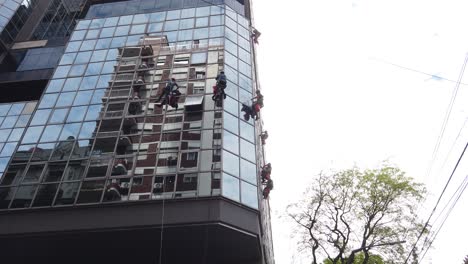 window cleaners on a skyscraper