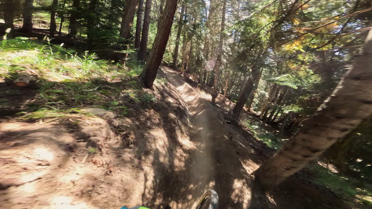 Riding a Mountain Bike Downhill Through a Sunny Forest Trail