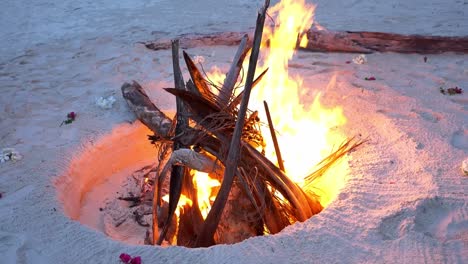 close up of pile of tree woods on fire at sandy beach, bonfire