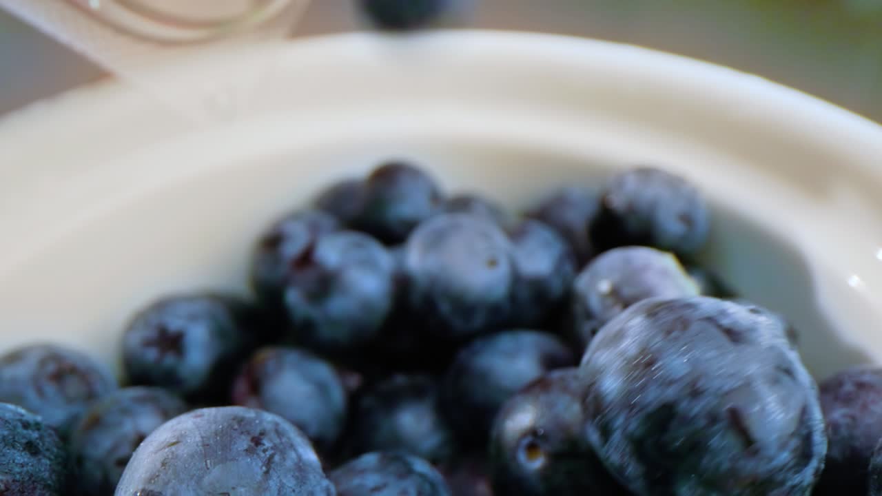 블루베리 매크로 한 그을 부어