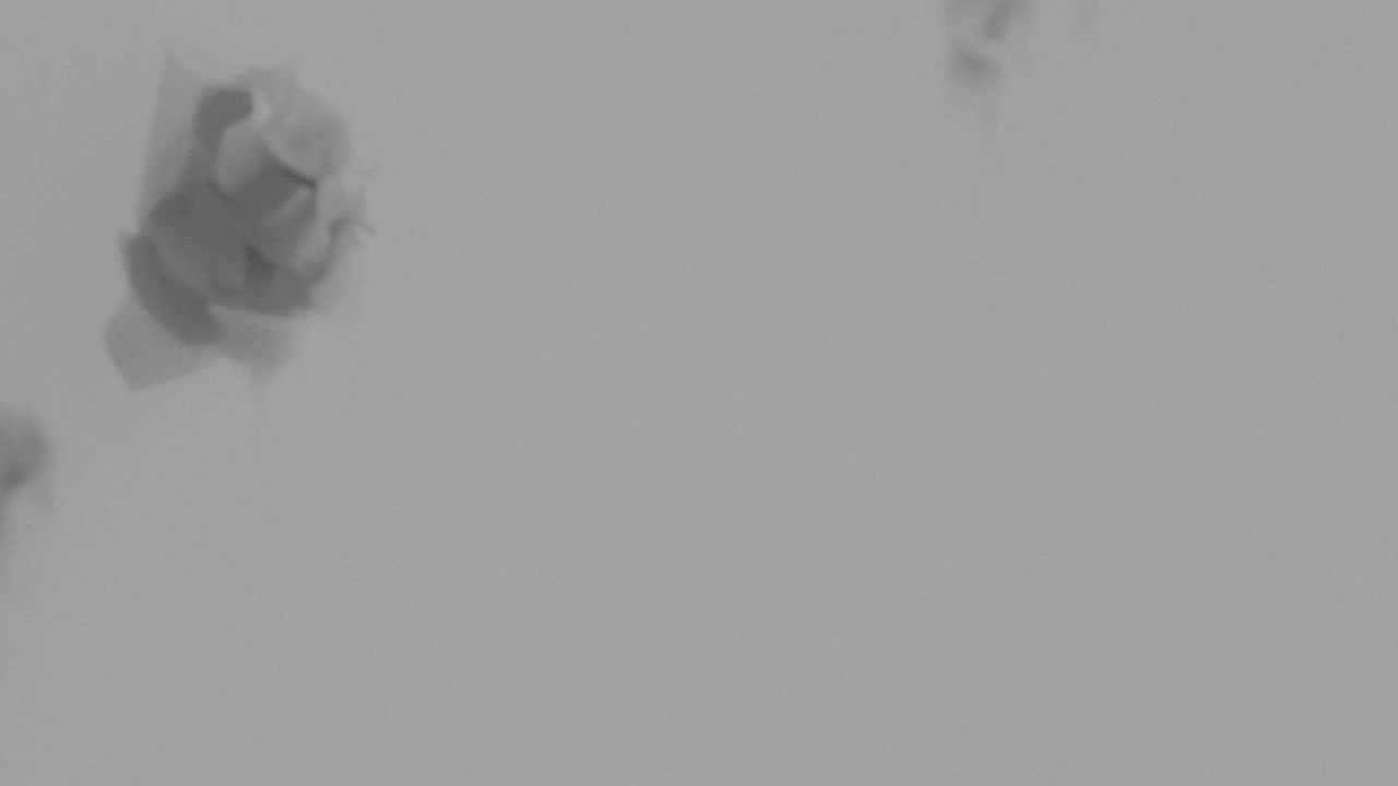 Broken mannequin head shells in xray