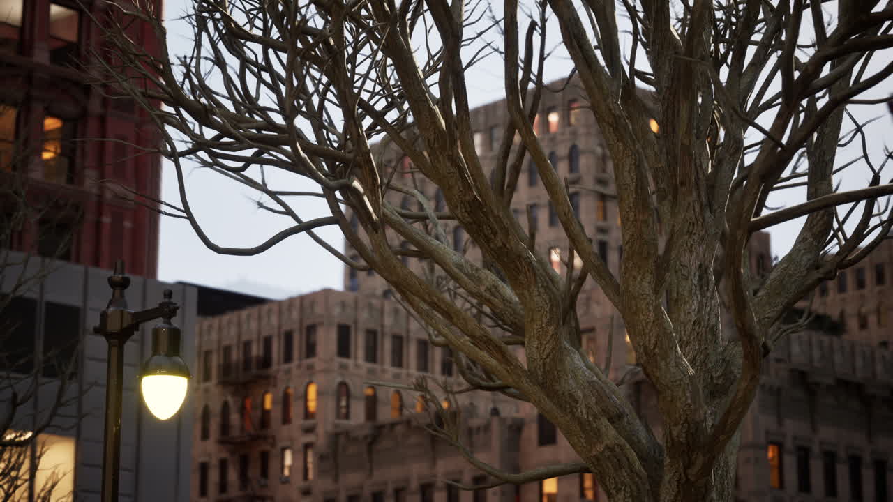 뉴욕 스트리트 건물